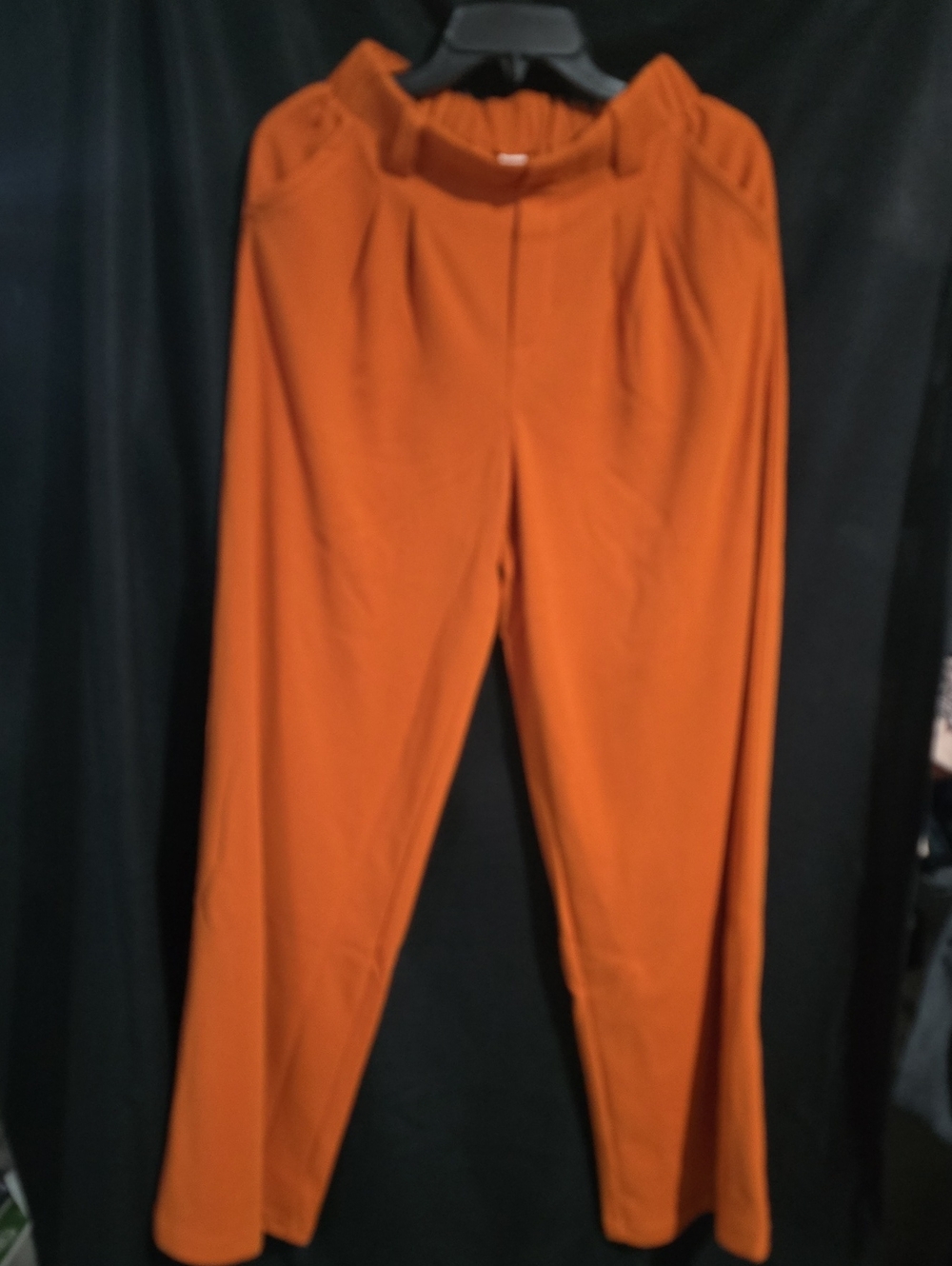 HALARA Wide Leg Pants in Burnt Orange